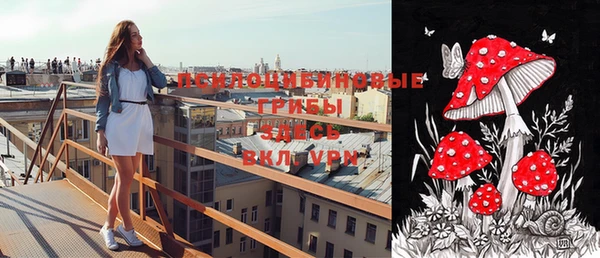 mix Вяземский