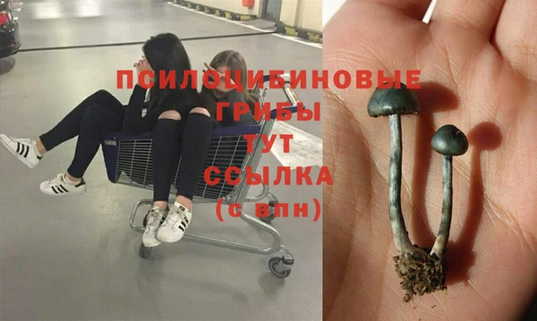 mix Вяземский
