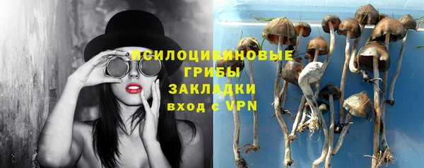 молекула духа Вязники